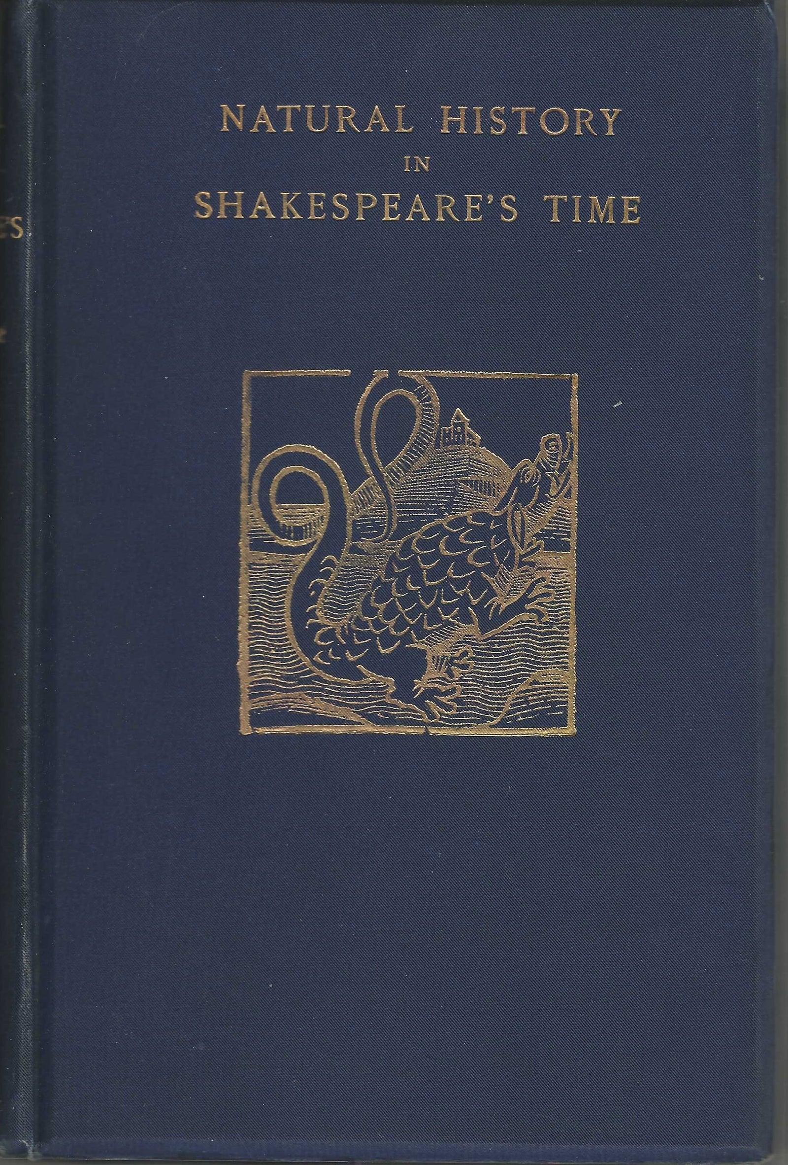 1612100 1896 Shakespeare