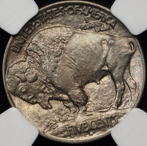 1481800 1913'D' T1 Buffalo Nickel.  NGC 64.